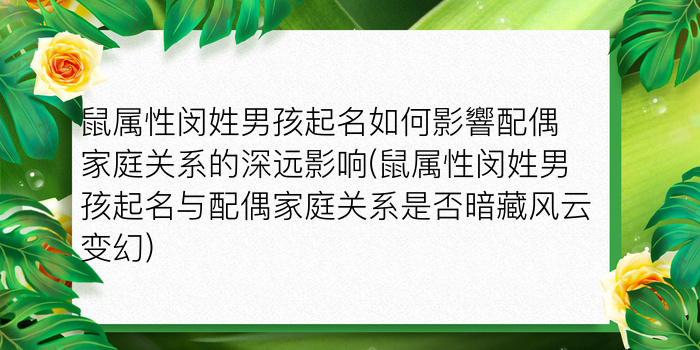 二零二算运网