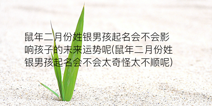 吕宝宝起名游戏截图