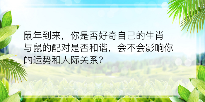 姓名缘分配对超准游戏截图