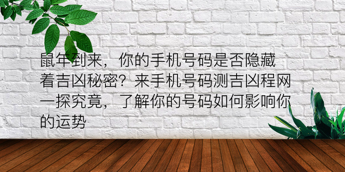 鼠年到来，你的手机号码是否隐藏着吉凶秘密？来手机号码测吉凶程网一探究竟，了解你的号码如何影响你的运势