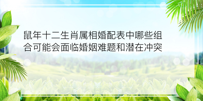 鼠年十二生肖属相婚配表中哪些组合可能会面临婚姻难题和潜在冲突