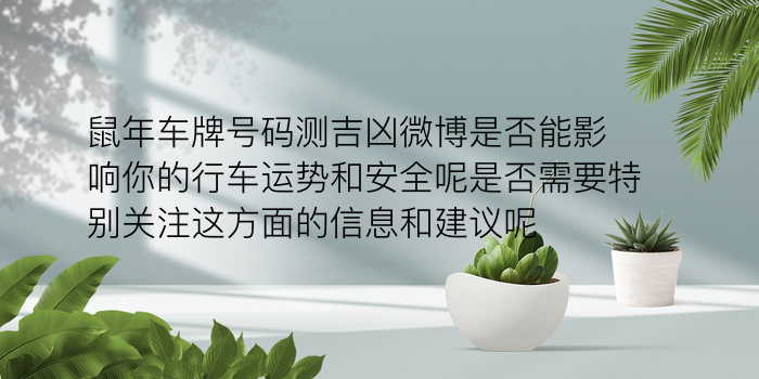 车牌号数字吉凶游戏截图