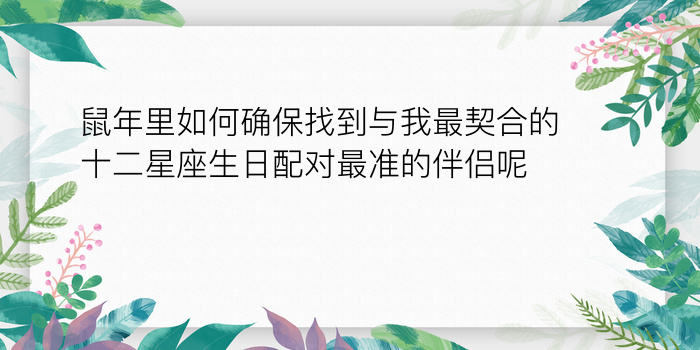 姓名配对最准的网站游戏截图