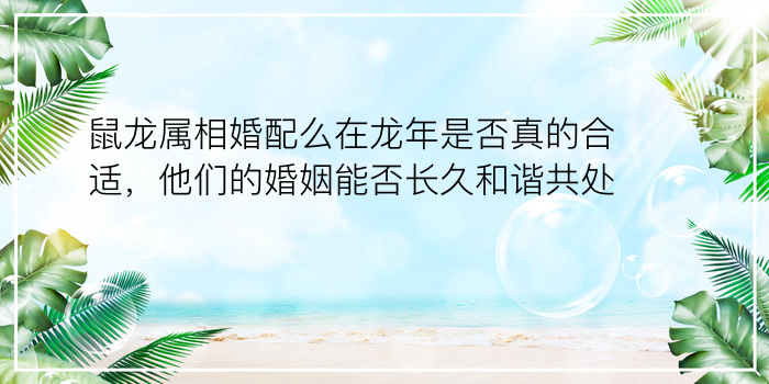 测测八字运程游戏截图