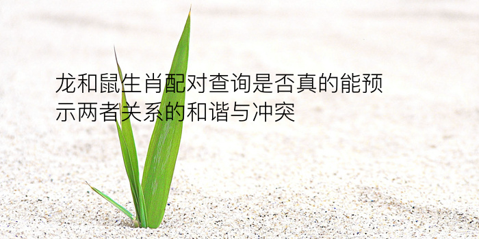 手机号跟生日配对游戏截图