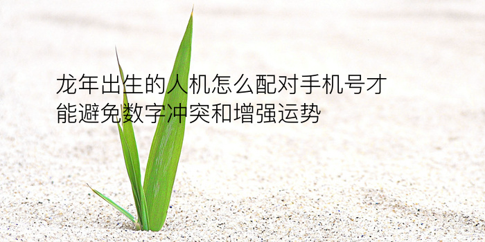 易经车牌号码测吉凶游戏截图