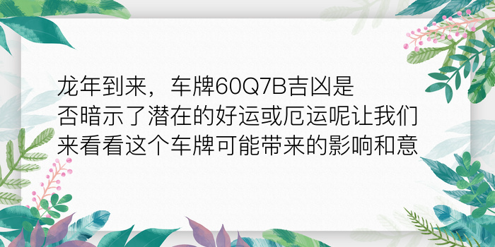 在线查车牌号吉凶查询游戏截图