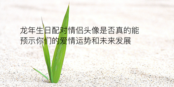 生日配对免费游戏截图