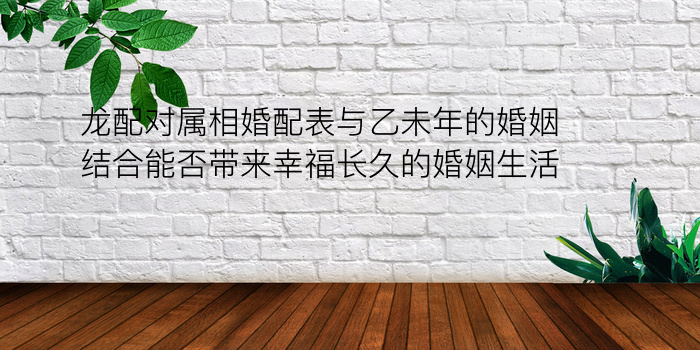 龙配对属相婚配表与乙未年的婚姻结合能否带来幸福长久的婚姻生活