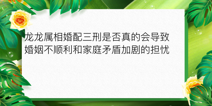 龙龙属相婚配三刑是否真的会导致婚姻不顺利和家庭矛盾加剧的担忧